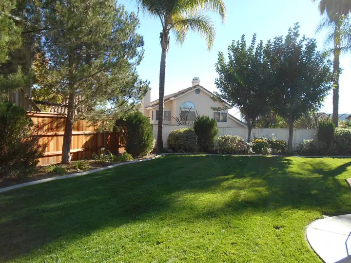 Backyard Slope Lawn Palm Trees Menifee Ca