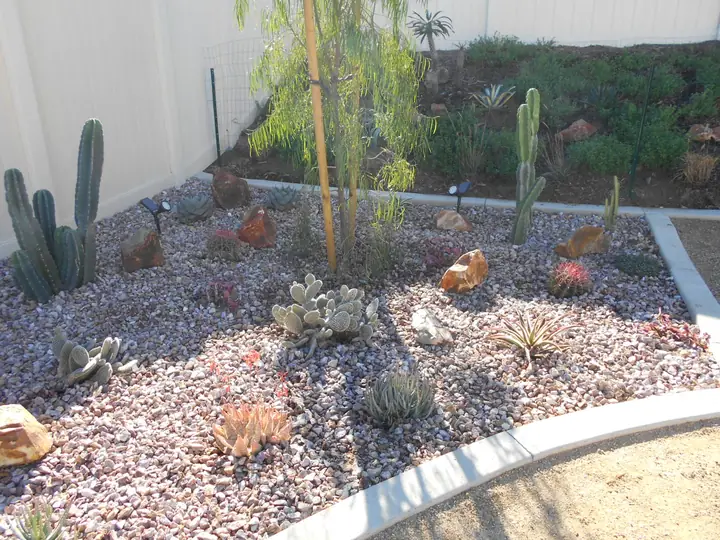 Cactus Garden Gravel Bed Corner Menifee Ca