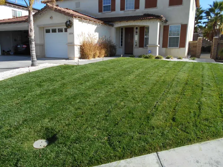 Front Lawn Striped Mow Menifee Ca