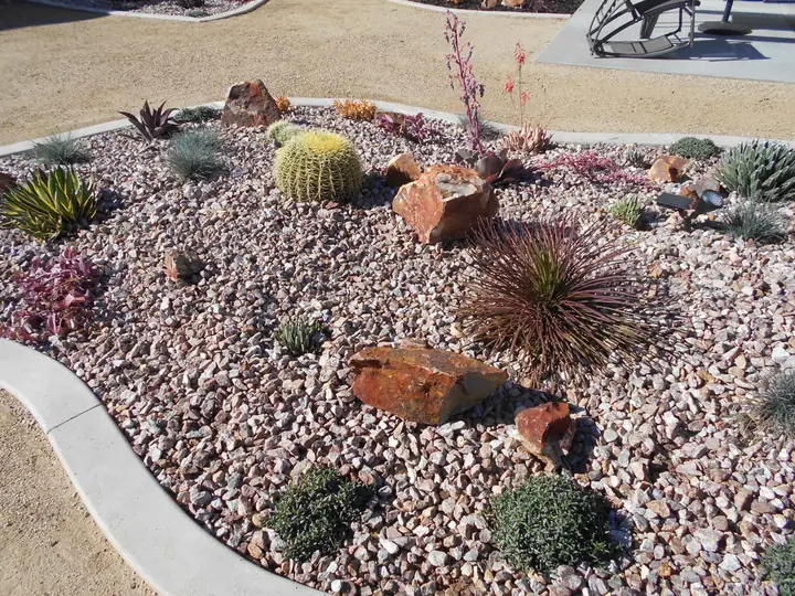 Gravel Bed Barrel Cactus Boulders Menifee Ca