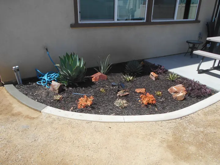 Succulent Mulch Bed Curved Concrete Border Menifee Ca